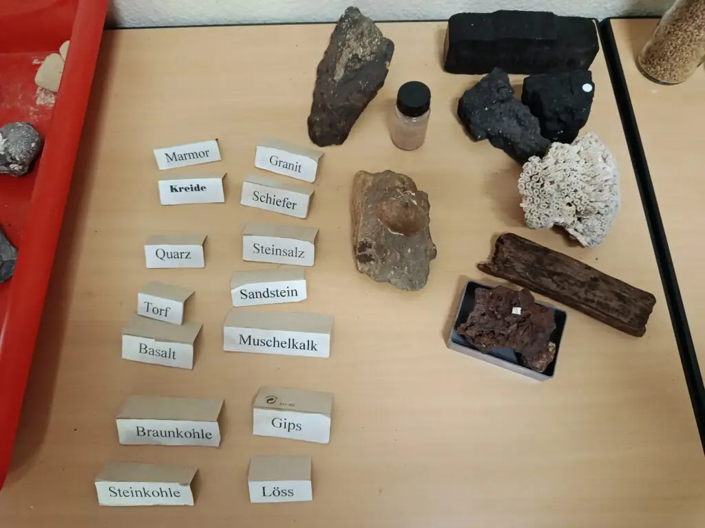 Beschriftete Gesteinsproben auf einem Präsentationstisch