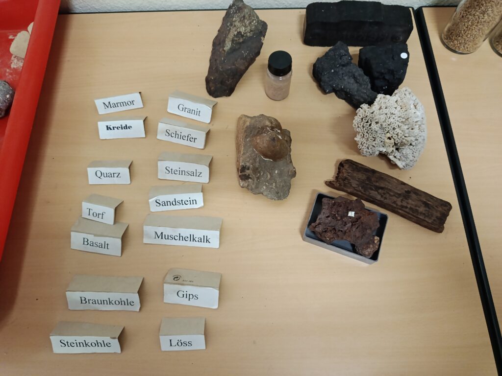 Gesteinsproben mit Namenskärtchen im Fachbereich Geografie